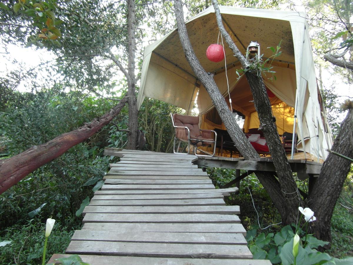Dijembe Backpackers Lodge Stormsrivier Kültér fotó