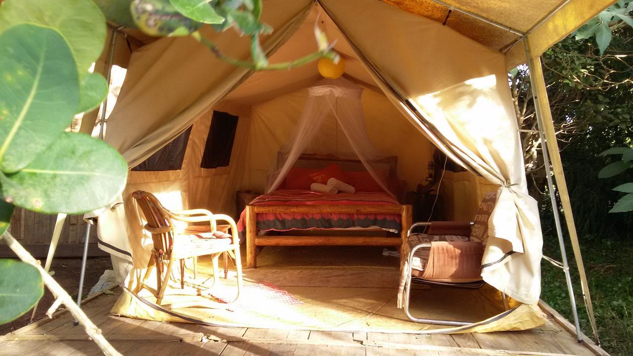 Dijembe Backpackers Lodge Stormsrivier Kültér fotó