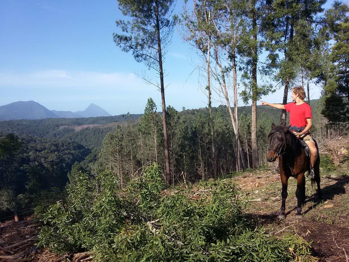 Dijembe Backpackers Lodge Stormsrivier Kültér fotó