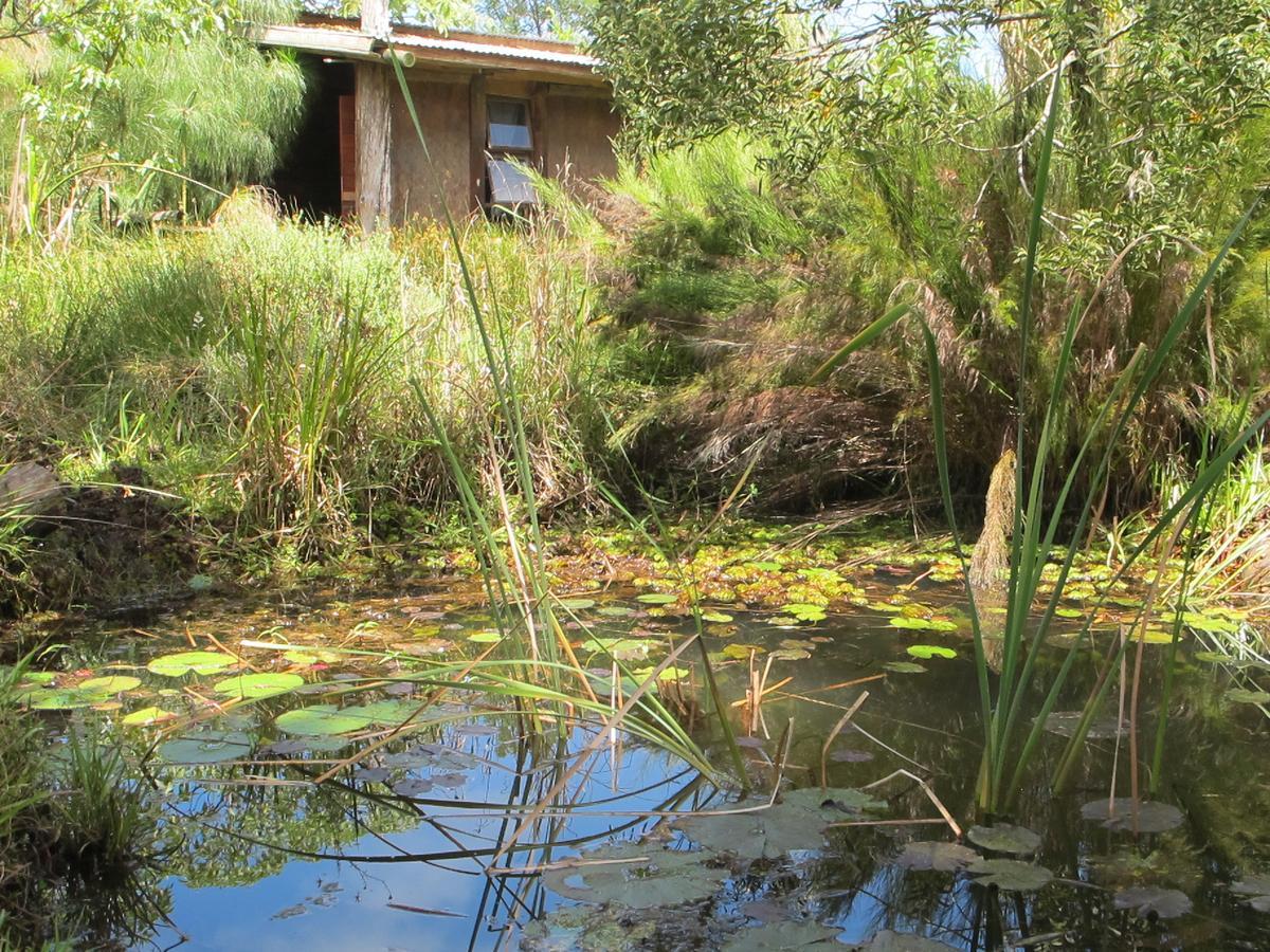 Dijembe Backpackers Lodge Stormsrivier Kültér fotó