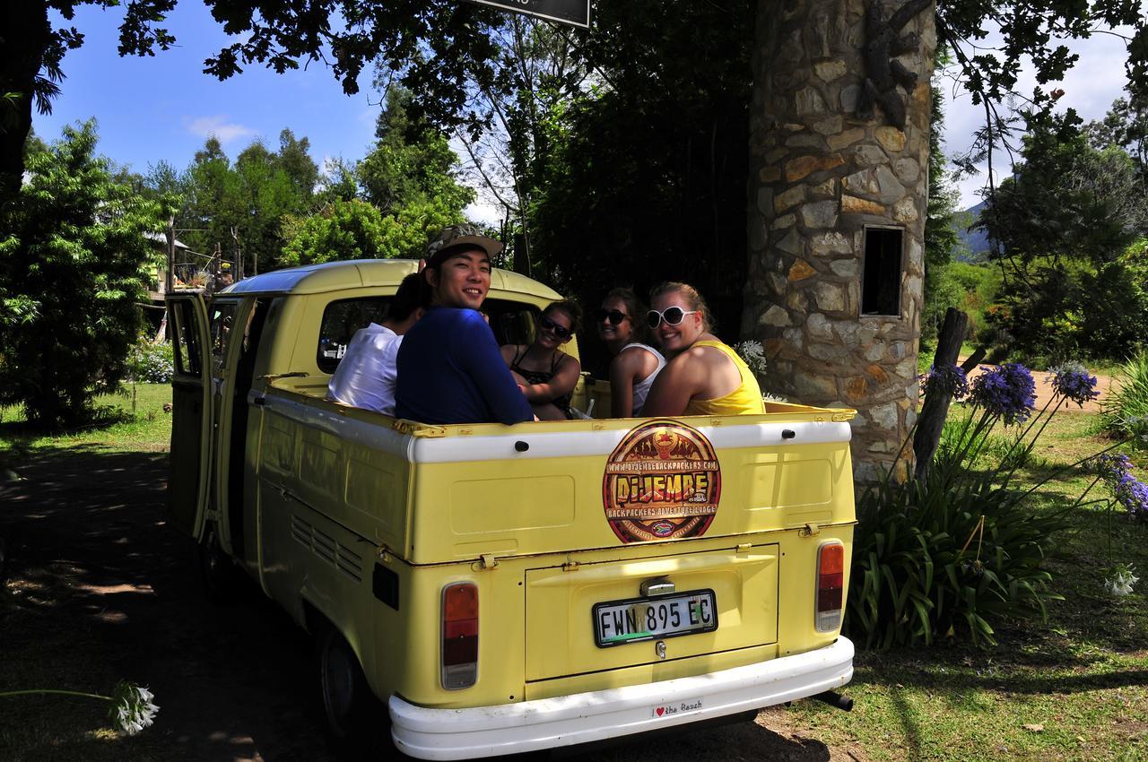 Dijembe Backpackers Lodge Stormsrivier Kültér fotó