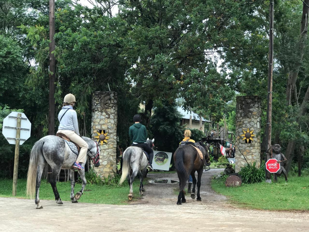 Dijembe Backpackers Lodge Stormsrivier Kültér fotó
