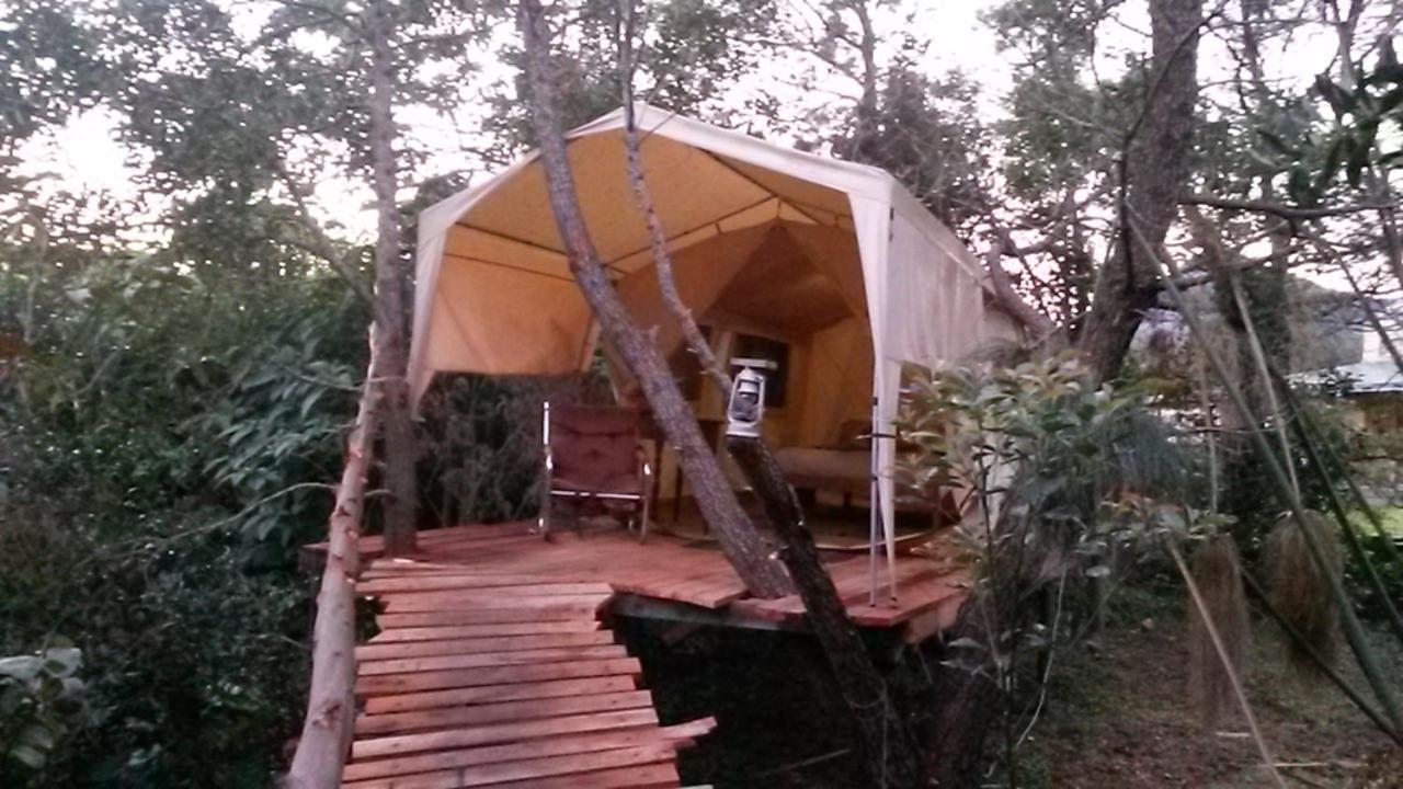 Dijembe Backpackers Lodge Stormsrivier Kültér fotó