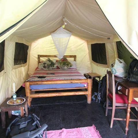 Dijembe Backpackers Lodge Stormsrivier Kültér fotó