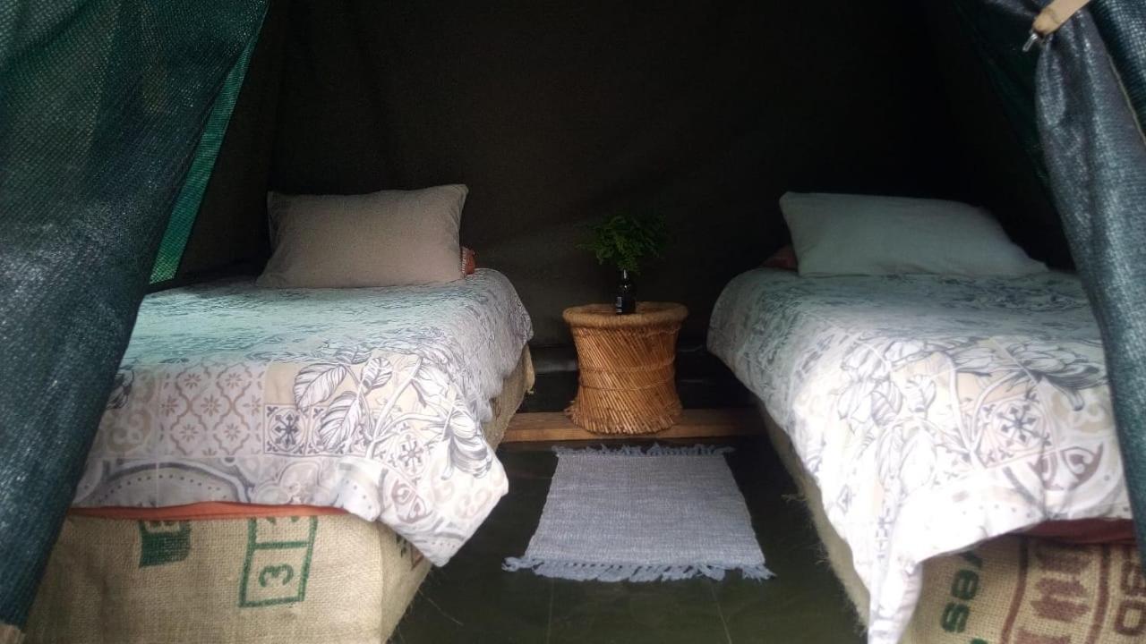 Dijembe Backpackers Lodge Stormsrivier Kültér fotó